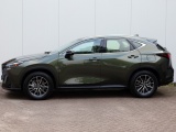 Lexus NX 350h AWD Luxury Line | Premium Navi | Leder | Stoelverwarming