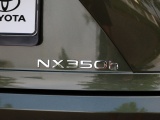 Lexus NX 350h AWD Luxury Line | Premium Navi | Leder | Stoelverwarming