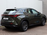 Lexus NX 350h AWD Luxury Line | Premium Navi | Leder | Stoelverwarming