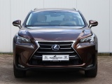 Lexus NX 300h AWD President Limited | Stoelventilatie | Matrix Led |