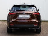 Lexus NX 300h AWD President Limited | Stoelventilatie | Matrix Led |