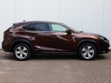 Lexus NX 300h AWD President Limited | Stoelventilatie | Matrix Led |