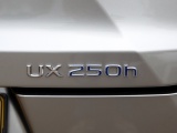 Lexus UX 250h Business Line | Stoel/Stuurwielverwarming | Trekhaak