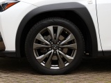 Lexus UX 250h AWD F Sport Premium | Mark Levinson | Schuifdak | 360 Camer