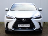 Lexus NX 350h AWD Executive Line | 360 Camera | Stoelventilatie | Head-Up