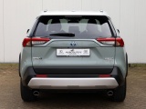 Toyota RAV4 2.5 Hybrid AWD Adventure | Bi-Tone | JBL Audio | Treeplanken