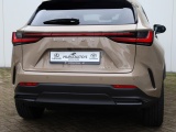 Lexus NX 350h AWD Overtrail | Mark Levinson | Panoramadak | Park-Assist