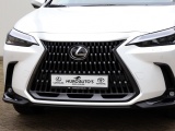 Lexus NX 450h+ AWD Executive Line | 360 Camera | Park-Assist | Trekhaak