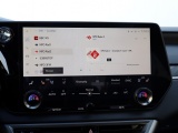 Lexus RX 450h+ President | Mark Levinson | Panoramadak | 360 Camera