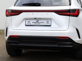 Lexus NX 450h+ AWD Executive Line | President Pack | 360 Camera | Park-As