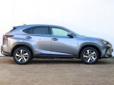 Lexus NX 300h AWD President Line | Mark Levinson | 360 Camera | Panoramad