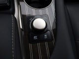 Lexus RX 450h 4WD President Line | Panoramadak | Mark Levinson | 360 Came