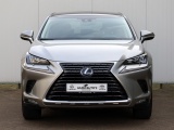 Lexus NX 300h AWD President Line | Mark Levinson | Panoramadak | 360 Came