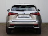 Lexus NX 300h AWD President Line | Mark Levinson | Panoramadak | 360 Came