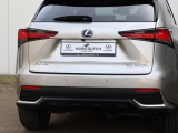 Lexus NX 300h AWD President Line | Mark Levinson | Panoramadak | 360 Came